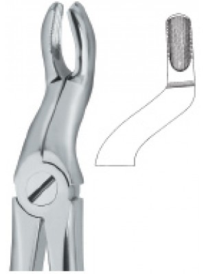 Tooth Ext Forceps