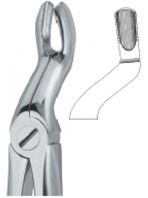 Tooth Ext Forceps
