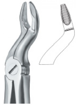 Tooth Ext Forceps
