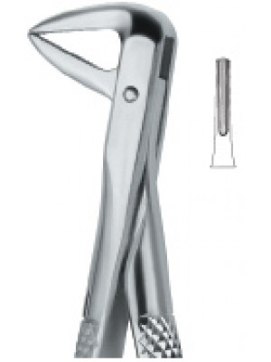 Incisors and Roots 74N