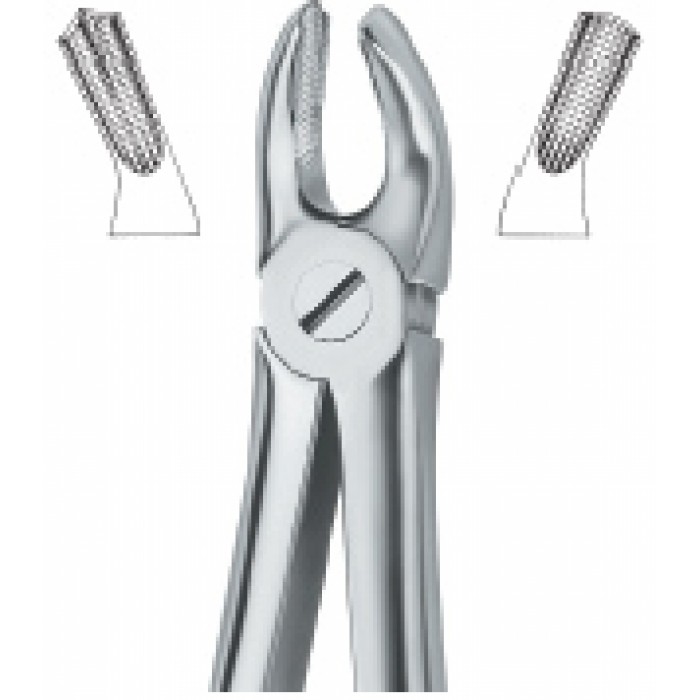 Molars , Right 17