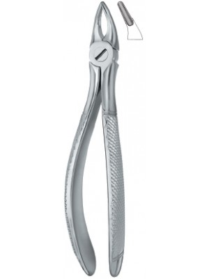 Incisors and Roots 30S