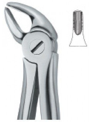 Incisors and Cuspids 38