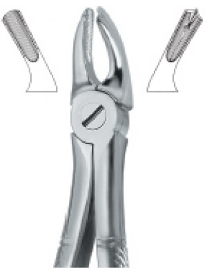 Molars , Left 39L
