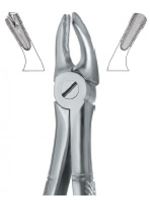 Molars , Right 39R