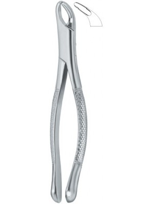 Cryer Bicuspids , Incisors and Roots 151