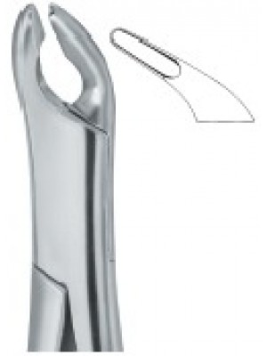 Cryer Bicuspids , Incisors and Roots 151A