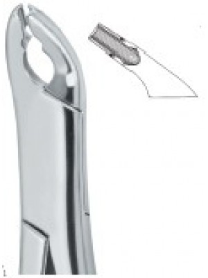 Cryer Bicuspids , Incisors and Roots 151X