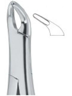 Cryer Teeth and Roots , Universal 151S