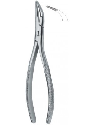 Root Fragments and Universal 501