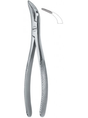 Witzel Root Fragments and Universal 502