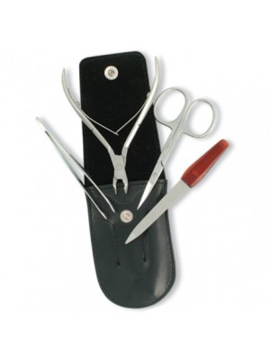 4 Pcs Manicure Kit.