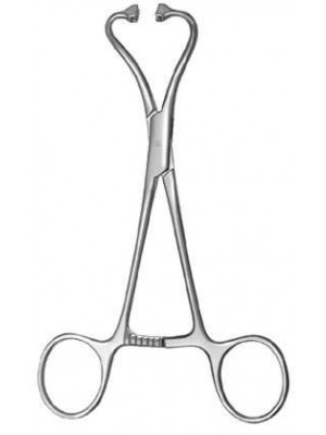 Peers-Bertram modif.