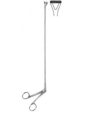 Rectal Biopsy Forceps